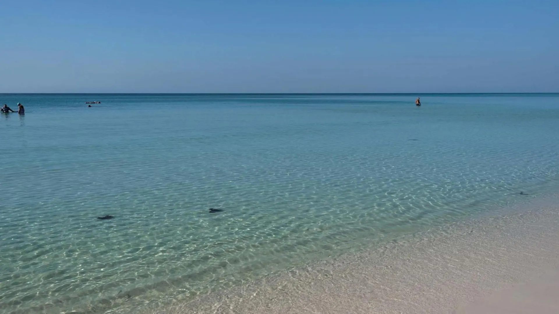 Majestic Sun 605B Apartment Destin